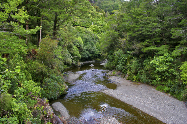 Kaitoke, New Zealand - GPS -41.058467, 175.191368 - Canon EOS 20D + Canon EF-S 17-85mm f/4-5.6 IS USM -  - 1/100 - f/8.0 - ISO100