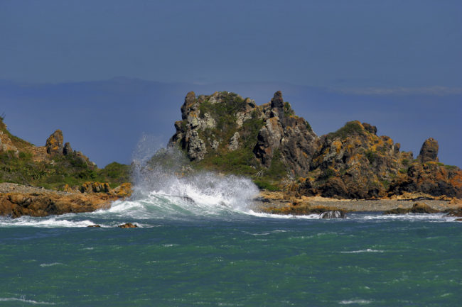 Houghton Bay, New Zealand - GPS -41.345653, 174.778227 - Canon EOS 20D + Canon EF-S 17-85mm f/4-5.6 IS USM -  - 1/100 - f/8.0 - ISO100