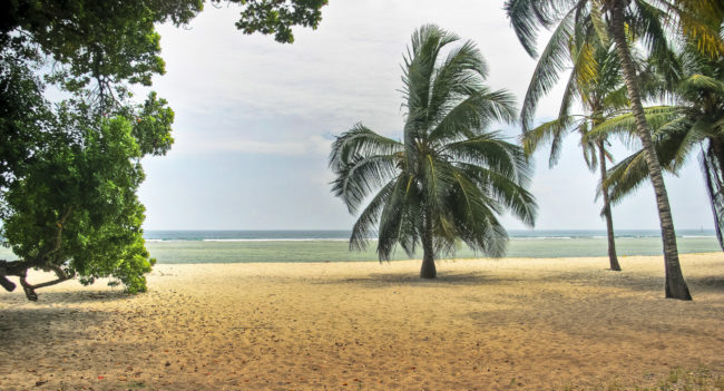 Tiwi Beach, Kenya - GPS -4.241323, 39.602848 - Canon EOS 20D + Canon EF-S 17-85mm f/4-5.6 IS USM & Canon EF 70-300mm f/4-5.6 IS USM -  - 0/1 - f/8.0 - ISO100