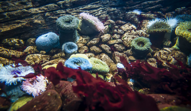 Santa Maria dos Olivais, Portugal - GPS 38.763333, -9.093612 - Panasonic GH4 + Panasonic LEICA DG SUMMILUX 12mm f1.4 - 24mm - 1/100 - f/1.4 - ISO800