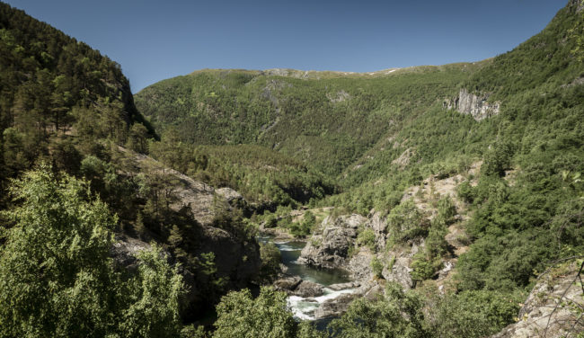 Husum, Norway - GPS 61.051860, 7.750152 - Panasonic GH4 + Panasonic Lumix G Vario 12-35mm/2,8 OIS - 24mm - 1/40 - f/8.0 - ISO100