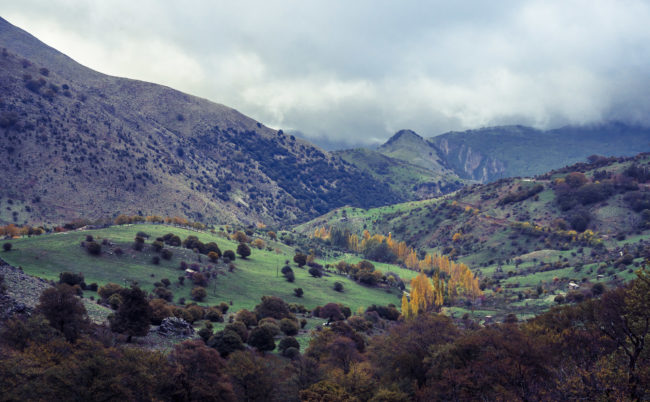 Vivaio Piano Noce, Italy - GPS 37.867377, 14.031052 - Panasonic GH4 + Panasonic Lumix G Vario 12-35mm/2,8 OIS - 46mm - 1/50 - f/4.0 - ISO200