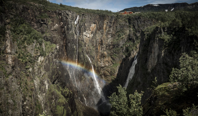 Garden, Norway - GPS 60.426853, 7.244382 - Panasonic GH4 + Panasonic Lumix G Vario 12-35mm/2,8 OIS - 24mm - 1/640 - f/2.8 - ISO100