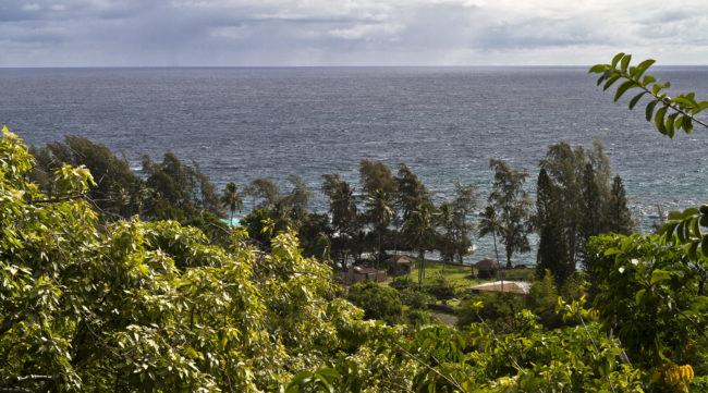 Laupāhoehoe, United States - GPS 19.992705, -155.239975 - Canon EOS 7D + Sigma 17-50mm, F2,8 EX DC OS HSM -  - 1/100 - f/8.0 - ISO100