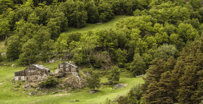 Engan, Norway - GPS 62.495122, 9.584627 - Panasonic GH4 + Panasonic Lumix G X VARIO 35-100mm f/2.8 Power OIS - 150mm - 1/30 - f/5.6 - ISO100
