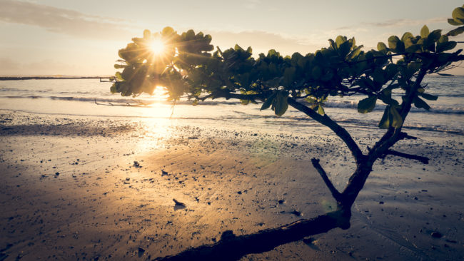 Arío, Costa Rica - GPS 9.682982, -85.202667 - Panasonic Lumix GX8 + LEICA DG SUMMILUX 12/F1.4 - 24mm - 1/80 - f/8.0 - ISO200