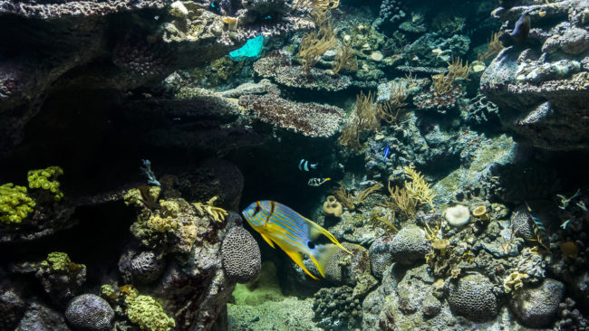Bogatell Beach, Spain - GPS 41.376475, 2.184225 - SONY DSC-RX100 IV + 27-70mm F1.8-2.8 - 29mm - 1/100 - f/2.5 - ISO800
