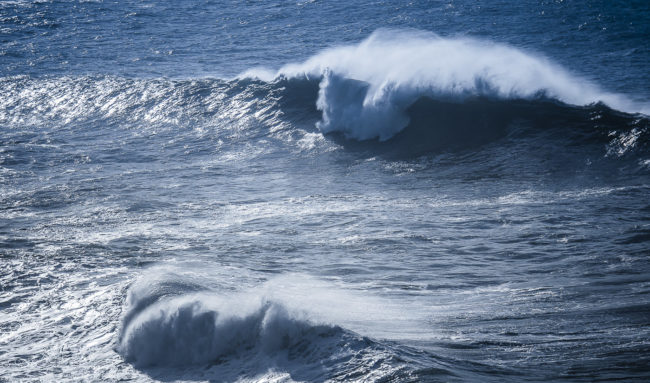 Cavaleiro, Portugal - GPS 37.605075, -8.815842 - Panasonic GH4 + Panasonic Lumix G X VARIO 35-100mm f/2.8 Power OIS - 200mm - 1/5000 - f/2.8 - ISO200