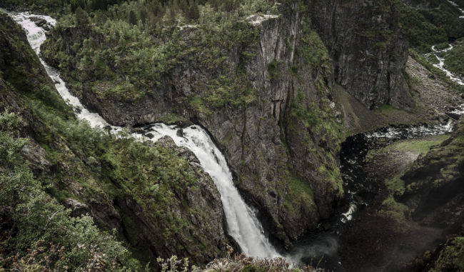 Garden, Norway - GPS 60.427437, 7.253603 - Panasonic GH4 + Panasonic Lumix G Vario 12-35mm/2,8 OIS - 24mm - 1/60 - f/5.0 - ISO100
