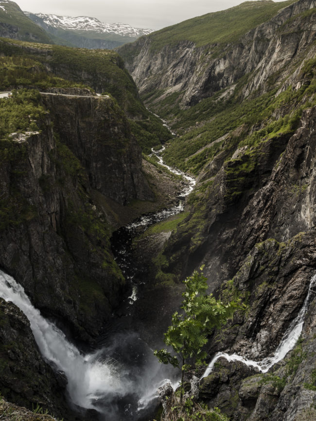 Garden, Norway - GPS 60.427437, 7.253603 - Panasonic GH4 + Panasonic Lumix G Vario 12-35mm/2,8 OIS - 24mm - 1/40 - f/8.0 - ISO100