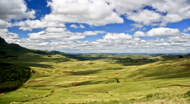Volksrust, South Africa - GPS -27.250258, 29.890543 - Canon EOS 20D + Canon EF-S 17-85mm f/4-5.6 IS USM -  - 0/1 - f/8.0 - ISO100