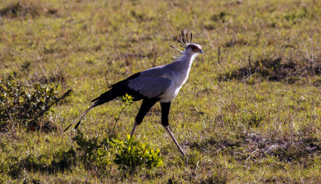 Canon EOS 20D + Canon EF-S 17-85mm f/4-5.6 IS USM -  - 1/100 - f/8.0 - ISO100