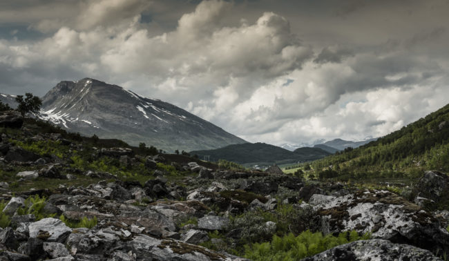 Årset, Norway - GPS 62.160753, 7.178363 - Panasonic GH4 + Panasonic Lumix G X VARIO 35-100mm f/2.8 Power OIS - 70mm - 1/125 - f/8.0 - ISO100
