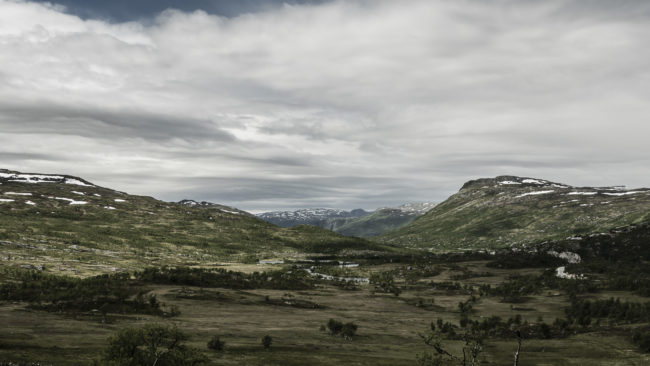 Garden, Norway - GPS 60.430757, 7.272220 - Panasonic GH4 + Panasonic Lumix G Vario 12-35mm/2,8 OIS - 42mm - 1/80 - f/8.0 - ISO100