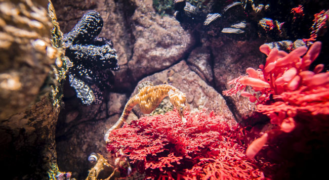 Santa Maria dos Olivais, Portugal - GPS 38.763333, -9.093612 - Panasonic GH4 + Panasonic LEICA DG SUMMILUX 12mm f1.4 - 24mm - 1/25 - f/1.4 - ISO800