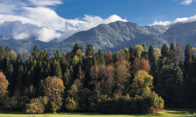 Bohinjska Bistrica, Slovenia - GPS 46.274102, 13.947953 - SONY DSC-RX100 + 28-100mm F1.8-4.9 - 59mm - 1/1000 - f/4.5 - ISO400