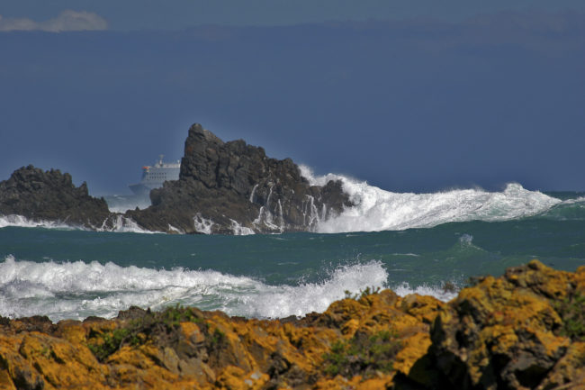 Houghton Bay, New Zealand - GPS -41.345653, 174.778227 - Canon EOS 20D + Canon EF-S 17-85mm f/4-5.6 IS USM -  - 1/100 - f/8.0 - ISO100