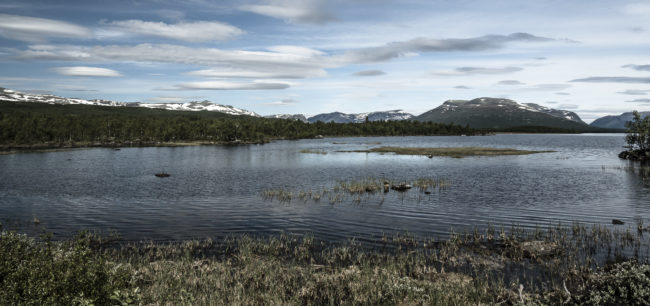 Revulen, Norway - GPS 60.909490, 8.865925 - Panasonic GH4 + Panasonic Lumix G Vario 12-35mm/2,8 OIS - 24mm - 1/200 - f/8.0 - ISO100