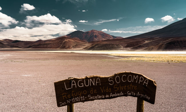 Negrillar, Chile - GPS -24.506603, -68.206803 - Sony A7III + SONY FE 24-105mm, F4 G OSS - 40mm - 1/125 - f/8.0 - ISO100