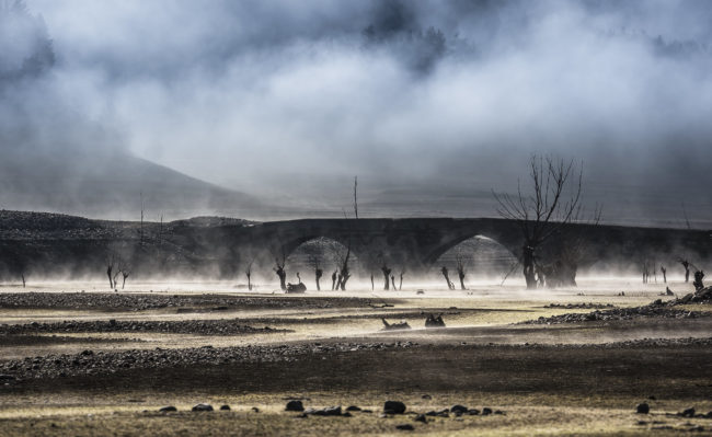 Salio, Spain - GPS 42.965982, -4.966842 - Panasonic GH4 + Panasonic Lumix G X VARIO 35-100mm f/2.8 Power OIS - 200mm - 1/250 - f/8.0 - ISO200