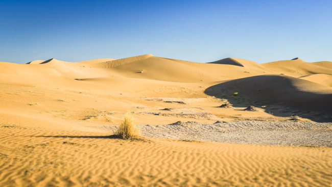El Gouera, Morocco - GPS 29.857848, -6.245493 - Panasonic GH4 + Panasonic Lumix G Vario 12-35mm/2,8 OIS - 48mm - 1/125 - f/8.0 - ISO200