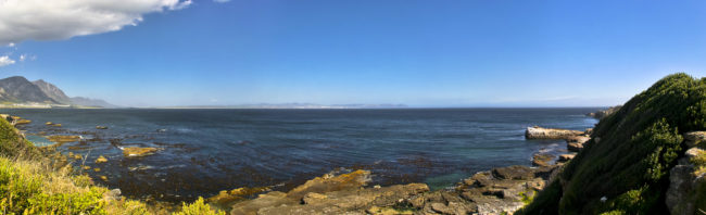 Hermanus, South Africa - GPS -34.418213, 19.245360 - Canon EOS 20D + Canon EF-S 17-85mm f/4-5.6 IS USM -  - 0/1 - f/8.0 - ISO100