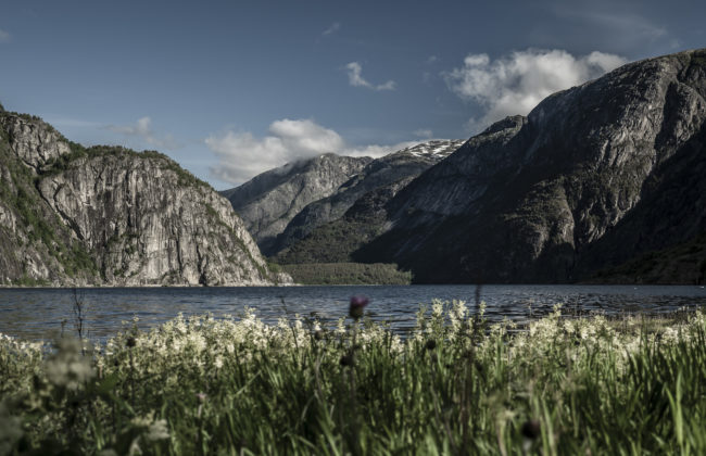 Sæbø, Norway - GPS 60.426227, 7.120898 - Panasonic GH4 + Panasonic Lumix G Vario 12-35mm/2,8 OIS - 46mm - 1/500 - f/2.8 - ISO100