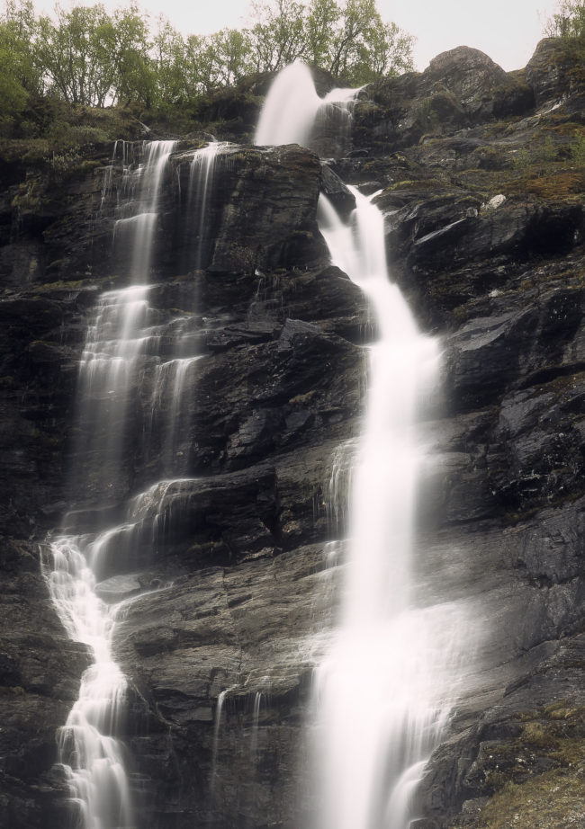 Kongsvoll, Norway - GPS 62.317772, 9.618955 - Panasonic GH4 + Panasonic Lumix G X VARIO 35-100mm f/2.8 Power OIS -  - 0/1 - f/8.0 - ISO100