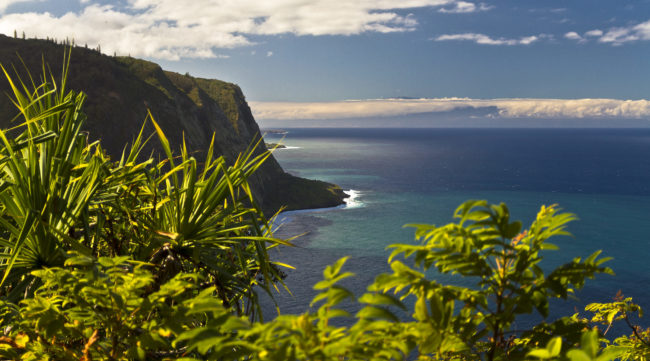 Kukuihaele, United States - GPS 20.117840, -155.584958 - Canon EOS 7D + Sigma 17-50mm, F2,8 EX DC OS HSM -  - 1/640 - f/2.8 - ISO100