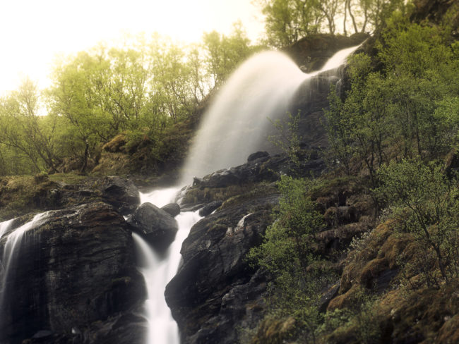 Kongsvoll, Norway - GPS 62.318018, 9.619352 - Panasonic GH4 + Panasonic Lumix G X VARIO 35-100mm f/2.8 Power OIS -  - 0/1 - f/8.0 - ISO100