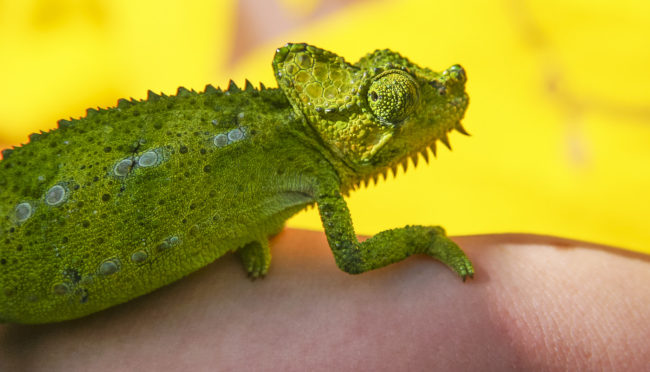 Nyahururu, Kenya - GPS 0.044503, 36.369505 - Canon EOS 20D + Canon EF-S 17-85mm f/4-5.6 IS USM -  - 1/100 - f/8.0 - ISO100