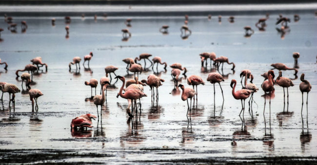 Lake View Estate, Kenya - GPS -0.310855, 36.083425 - Canon EOS 20D + Canon EF-S 17-85mm f/4-5.6 IS USM -  - 1/100 - f/8.0 - ISO100