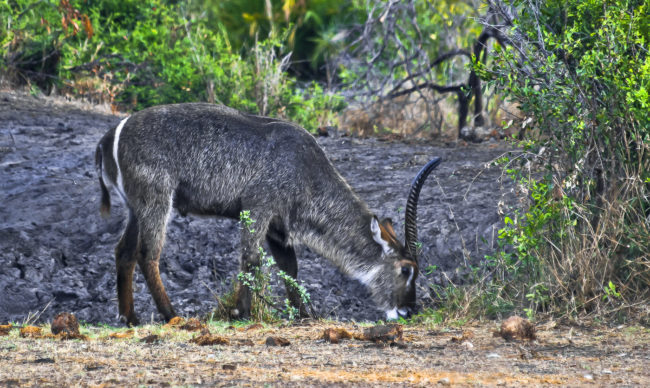 Kemps Cottage, South Africa - GPS -25.276463, 31.533508 - Canon EOS 20D + Canon EF-S 17-85mm f/4-5.6 IS USM -  - 1/100 - f/8.0 - ISO100