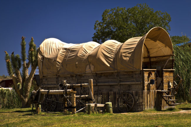 Ray Place, United States - GPS 35.879627, -113.993963 - Canon EOS 7D + Sigma AF 24-70mm f/2.8 EX DG macro -  - 1/160 - f/8.0 - ISO100