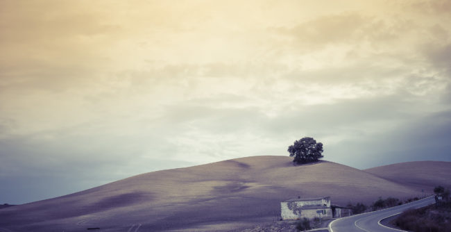 Madrigueras, Spain - GPS 36.840653, -5.479897 - Panasonic GH4 + Panasonic Lumix G Vario 12-35mm/2,8 OIS - 52mm - 1/60 - f/8.0 - ISO200
