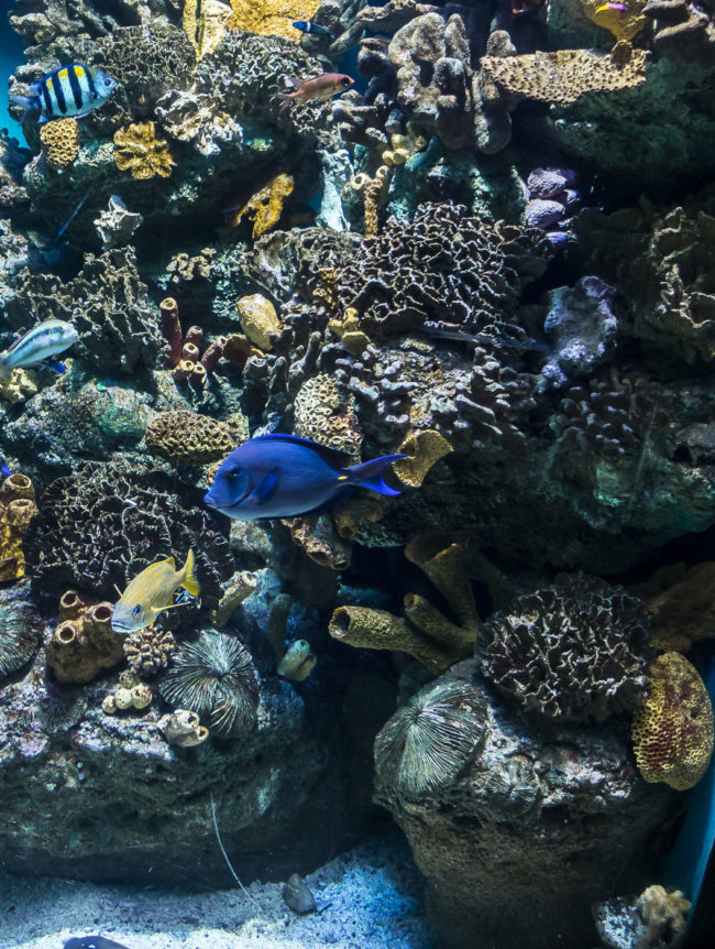 Bogatell Beach, Spain - GPS 41.376475, 2.184225 - SONY DSC-RX100 IV + 27-70mm F1.8-2.8 - 24mm - 1/100 - f/1.8 - ISO800