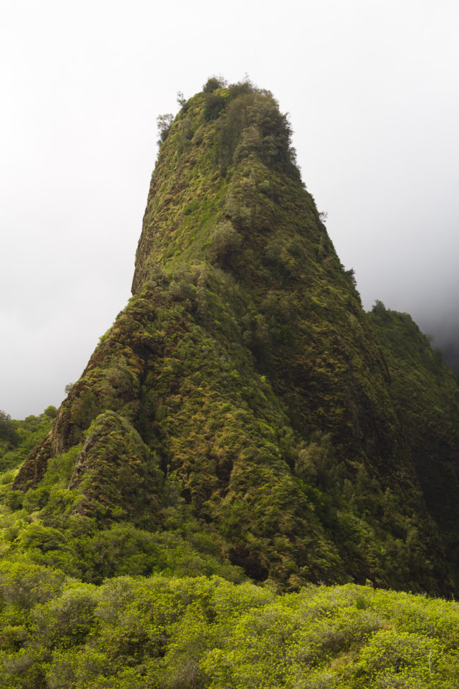 Wailuku Heights, United States - GPS 20.880438, -156.546652 - Canon EOS 7D + Sigma 17-50mm, F2,8 EX DC OS HSM -  - 1/50 - f/7.1 - ISO100