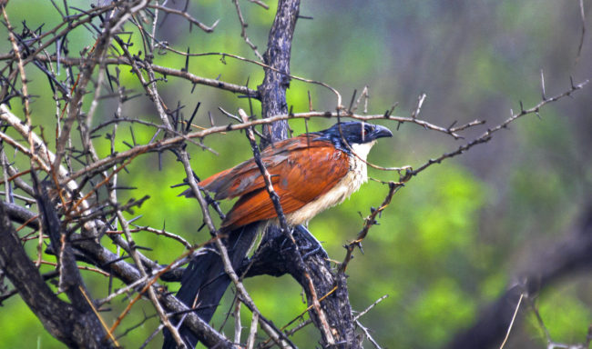 Kemps Cottage, South Africa - GPS -25.286980, 31.535762 - Canon EOS 20D + Canon EF-S 17-85mm f/4-5.6 IS USM -  - 1/100 - f/8.0 - ISO100