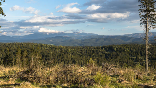Podbanské, Slovenia - GPS 49.136750, 19.925138 - Panasonic GH4 + Panasonic Lumix G Vario 12-35mm/2,8 OIS - 70mm - 1/100 - f/8.0 - ISO200