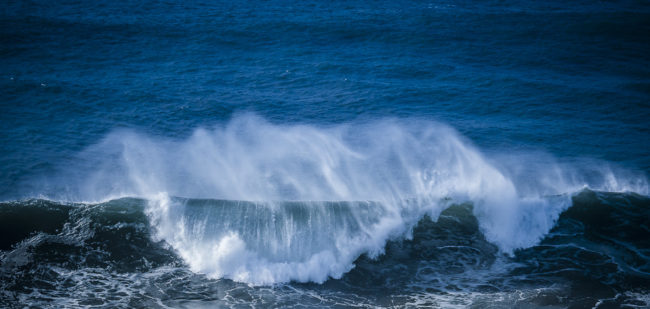 Cavaleiro, Portugal - GPS 37.605063, -8.815877 - Panasonic GH4 + Panasonic Lumix G X VARIO 35-100mm f/2.8 Power OIS - 200mm - 1/2500 - f/2.8 - ISO200
