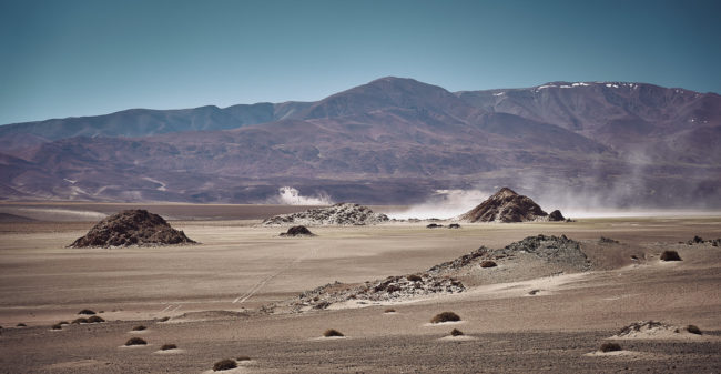 Culampajá, Argentina - GPS -26.764768, -66.819305 - Sony A7III + SONY FE 24-105mm, F4 G OSS - 82mm - 1/500 - f/4.5 - ISO125