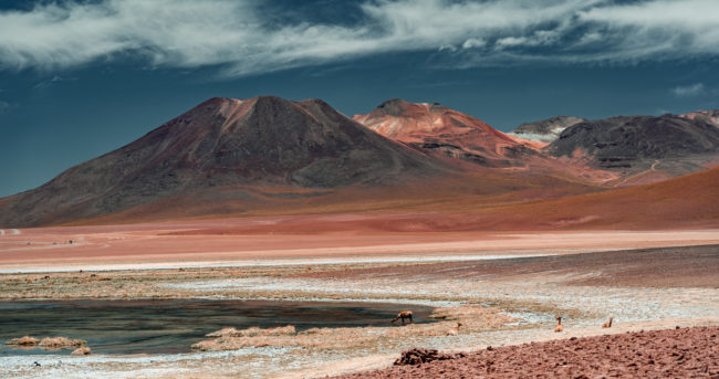 Lagunita, Chile - GPS -22.537637, -68.035898 - Sony A7III + SONY FE 24-105mm, F4 G OSS - 93mm - 1/400 - f/4.5 - ISO100