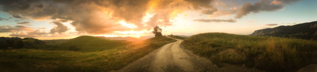 Sub Piatră, Romania - GPS 46.375375, 23.451656 -  iPhone SE + iPhone SE back camera 4.15mm f/2.2 - 29mm - 1/350 - f/2.2 - ISO100