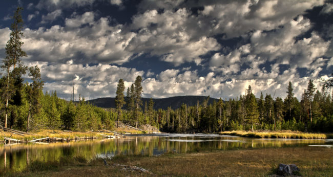 Canyon Junction, United States - GPS 44.736987, -110.697550 - Canon EOS 7D + Tokina AF 11-16mm f/2.8 AT-X Pro DX -  - 0/1 - f/8.0 - ISO100