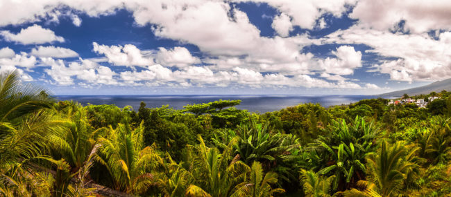 Maison Leroux, Réunion - GPS -21.212600, 55.814168 - Canon EOS 7D + Tokina AF 11-16mm f/2.8 AT-X Pro DX -  - 1/125 - f/8.0 - ISO100