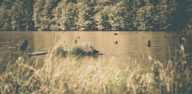 Lacu Roșu, Romania - GPS 46.790924, 25.789918 - Sony A7III + SONY FE 24-105mm, F4 G OSS - 105mm - 1/160 - f/4.0 - ISO100