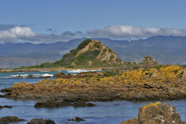 Houghton Bay, New Zealand - GPS -41.345653, 174.778227 - Canon EOS 20D + Canon EF-S 17-85mm f/4-5.6 IS USM -  - 0/1 - f/8.0 - ISO100