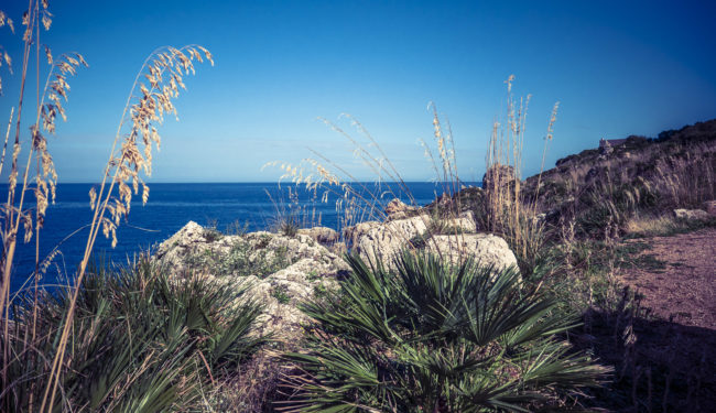 Zarbo di Mare, Italy - GPS 38.149480, 12.772743 - Panasonic GH4 + Panasonic Lumix G Vario 12-35mm/2,8 OIS - 24mm - 1/2500 - f/2.8 - ISO200