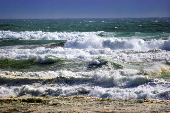 Baylys Beach, New Zealand - GPS -35.956825, 173.746312 - Canon EOS 20D + Canon EF-S 17-85mm f/4-5.6 IS USM -  - 0/1 - f/8.0 - ISO100