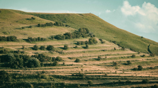 Bica, Romania - GPS 46.806157, 23.065889 - Sony A7III + SONY FE 100-400mm F4.5-5.6 G Master + SONY SEL14TC - 403mm - 1/40 - f/8.0 - ISO200